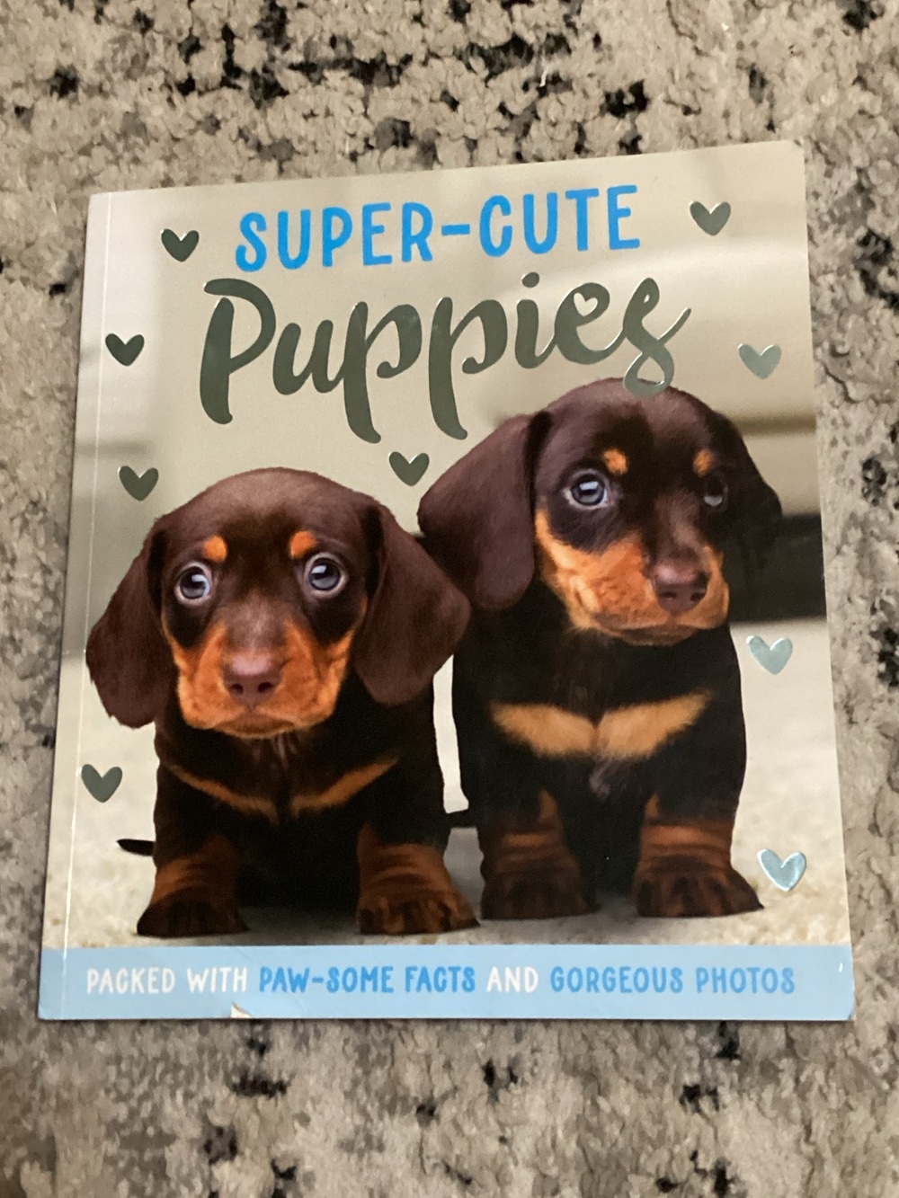 Super-Cute Puppies Book - Brown Dachshund Cover